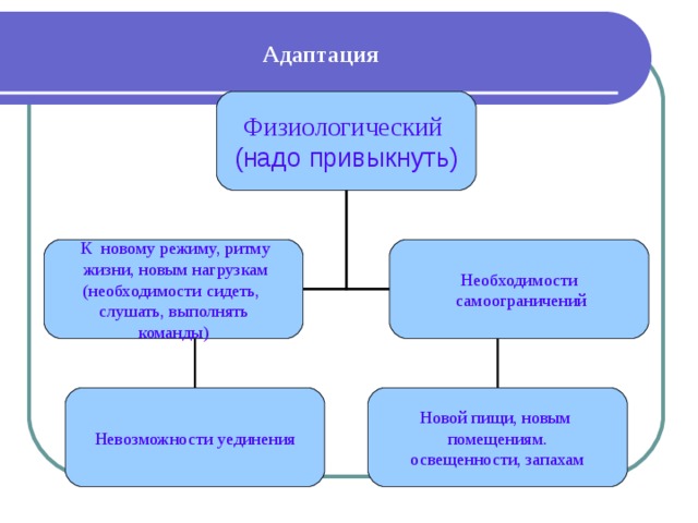 Адаптация Физиологический (надо привыкнуть)  К новому режиму, ритму  жизни, новым нагрузкам (необходимости сидеть, слушать, выполнять команды) Необходимости  самоограничений Невозможности уединения Новой пищи, новым помещениям. освещенности, запахам 