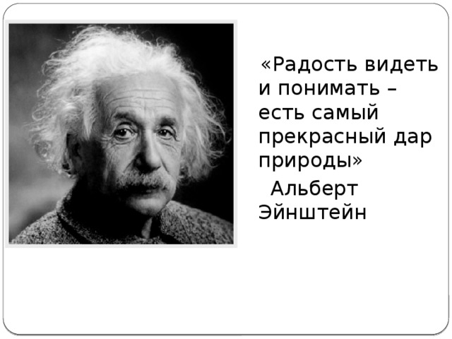 «Радость видеть и понимать – есть самый прекрасный дар природы»  Альберт Эйнштейн
