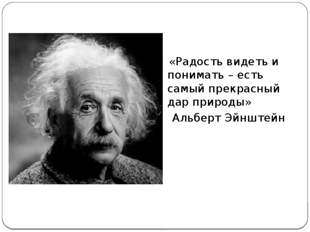 «Радость видеть и понимать – есть самый прекрасный дар природы»  Альберт Эйнштейн