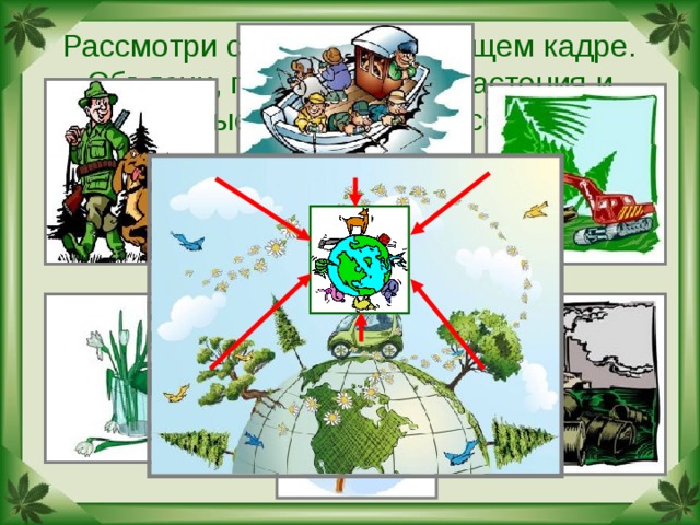 Рассмотри схему на следующем кадре. Объясни, почему многие растения и животные встречаются всё реже. 