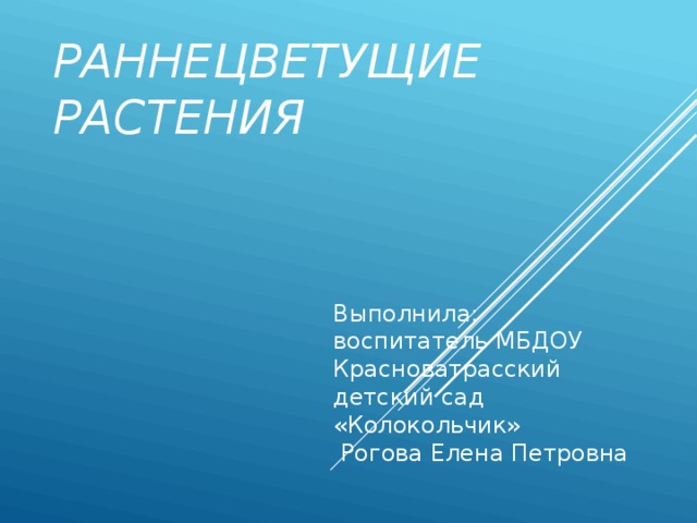 Раннецветущие растения Выполнила: воспитатель МБДОУ Красноватрасский детский сад «Колокольчик»  Рогова Елена Петровна 