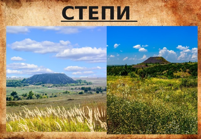 СТЕПИ ДОНБАССА 
