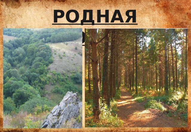 РОДНАЯ СТОРОНА 