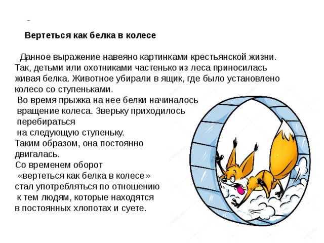 Фразеологизм как белка в колесе. Белка в колесе фразеологизм. Вертеться как белка в колесе. Как белка в колесе фразеологизм. Вертеться как белка в колесе фразеологизм.