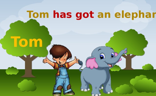 Tom has got an elephant  Tom 