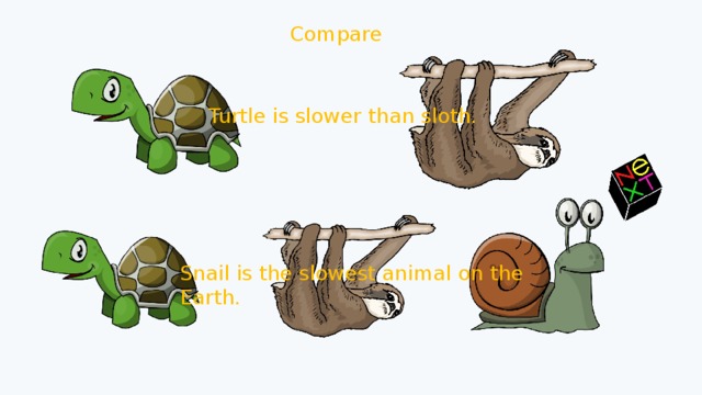 Compare Turtle is slower than sloth. Snail is the slowest animal on the Earth. 