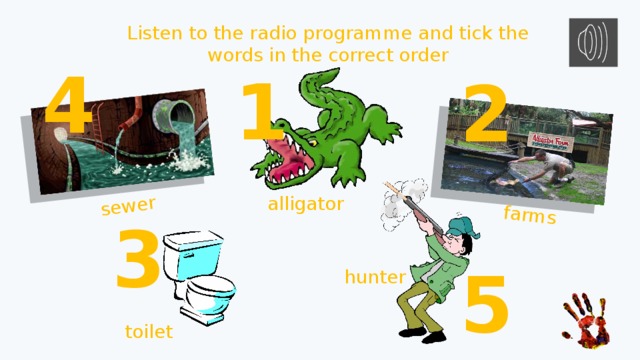 sewer farms Listen to the radio programme and tick the words in the correct order 4 1 2 alligator 3 5 hunter toilet 