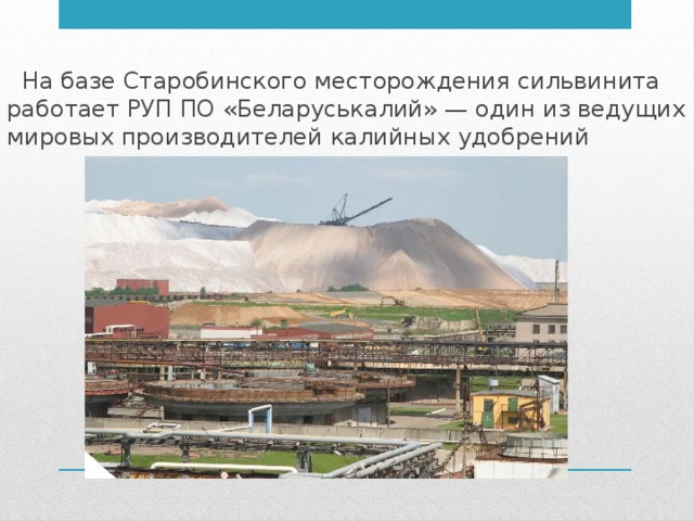  На базе Старобинского месторождения сильвинита работает РУП ПО «Беларуськалий» — один из ведущих мировых производителей калийных удобрений 