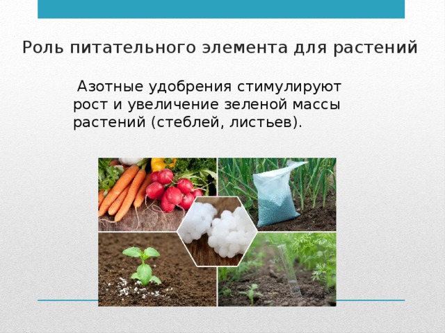 Роль питательного элемента для растений  Азотные удобрения стимулируют рост и увеличение зеленой массы растений (стеблей, листьев). 