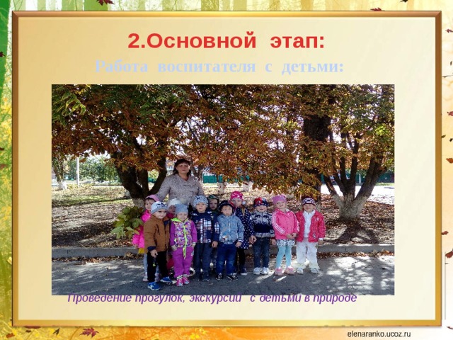 2.Основной этап:   Работа воспитателя с детьми: Проведение прогулок, экскурсий с детьми в природе 