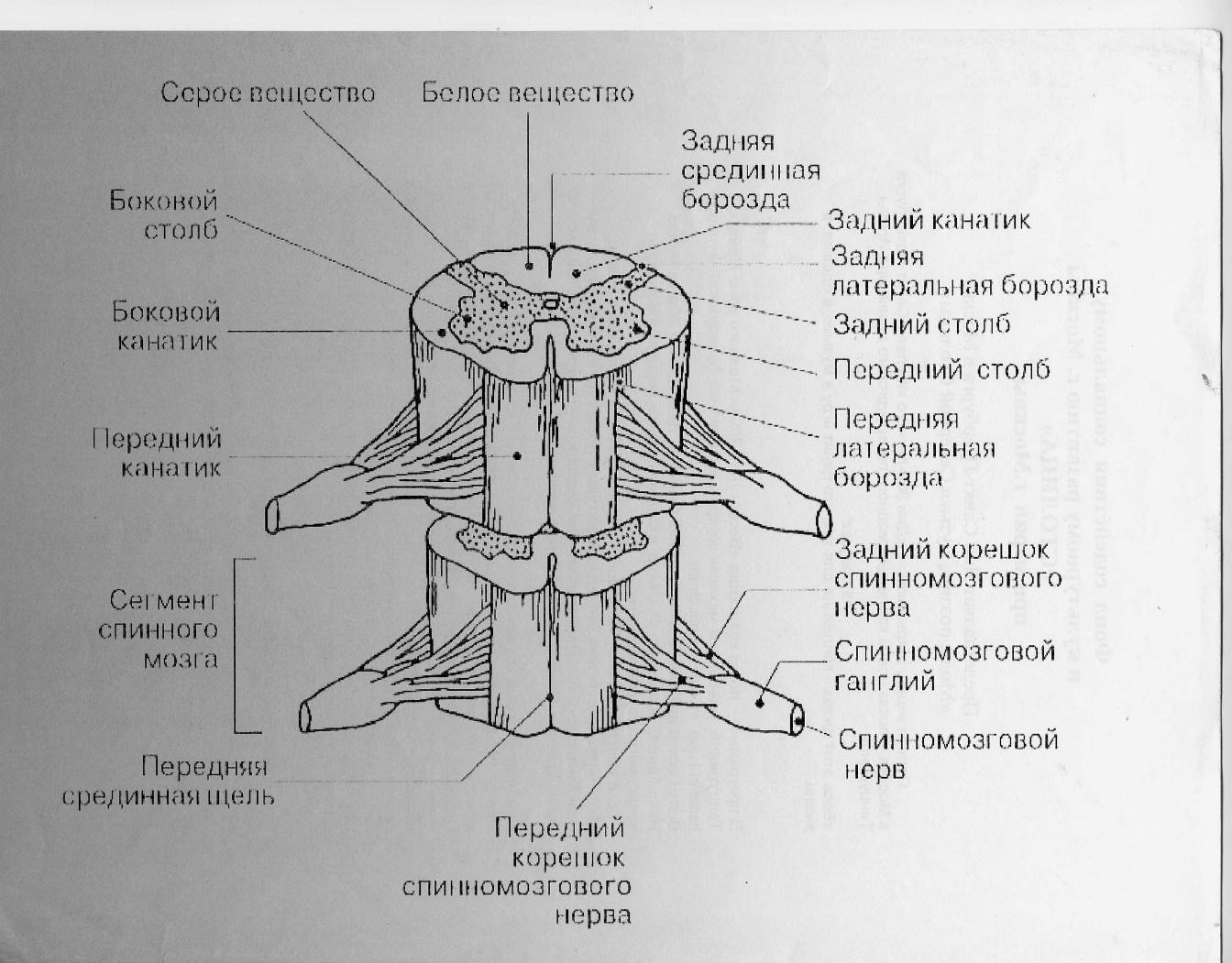 Практические работы - Прочее