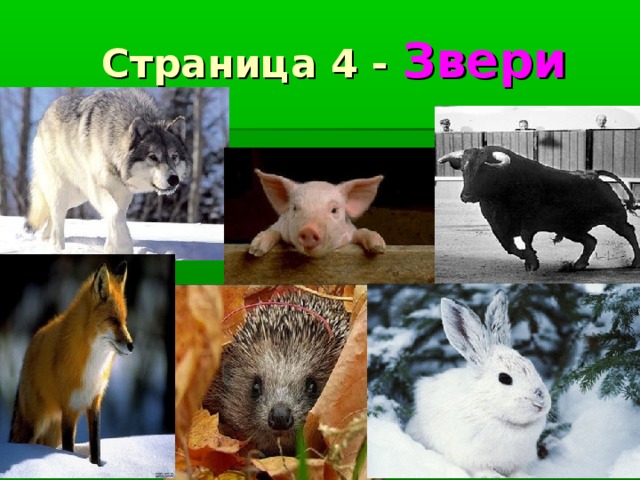 Страница 4 - Звери