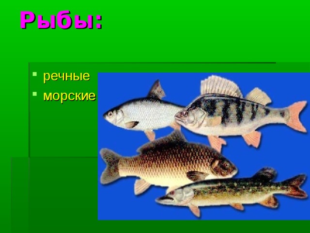 Рыбы: