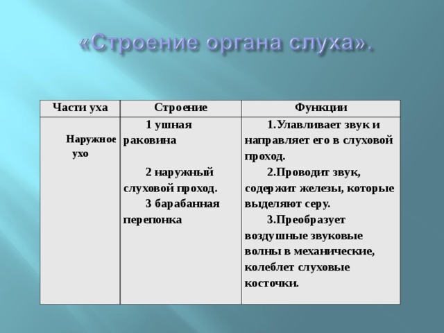 Части уха Строение   Наружное ухо Функции 1 ушная раковина   2 наружный слуховой проход. 3 барабанная перепонка 1.Улавливает звук и направляет его в слуховой проход. 2.Проводит звук, содержит железы, которые выделяют серу. 3.Преобразует воздушные звуковые волны в механические, колеблет слуховые косточки. 