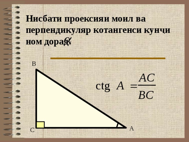 Нисбати проексияи моил ва перпендикуляр котангенси кунҷи ном дорад. В AC сtg A = BC А С 