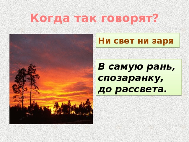 Ни свет ни заря картинка