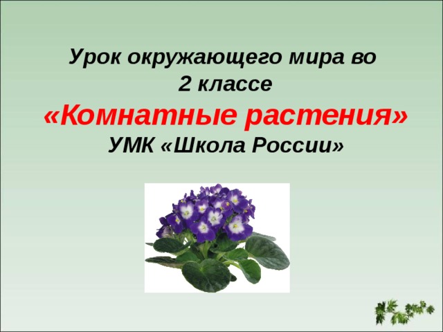 Урок окружающего мира во  2 классе  «Комнатные растения»  УМК «Школа России»       