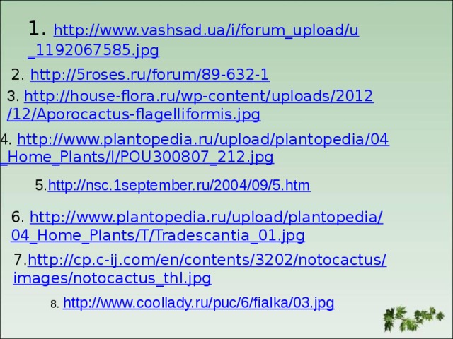 1. http://www.vashsad.ua/i/forum_upload/u _1192067585.jpg 2. http://5roses.ru/forum/89-632-1 3. http://house-flora.ru/wp-content/uploads/2012 /12/Aporocactus-flagelliformis.jpg 4. http://www.plantopedia.ru/upload/plantopedia/04 _Home_Plants/I/POU300807_212.jpg 5. http://nsc.1september.ru/2004/09/5.htm 6. http://www.plantopedia.ru/upload/plantopedia/ 04_Home_Plants/T/Tradescantia_01.jpg 7. http://cp.c-ij.com/en/contents/3202/notocactus/ images/notocactus_thl.jpg 8. http://www.coollady.ru/puc/6/fialka/03.jpg 