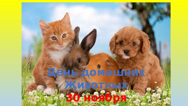 День домашних Животных 30 ноября