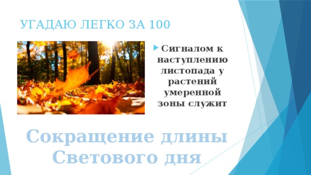 УГАДАЮ ЛЕГКО ЗА 100   Сигналом к наступлению листопада у растений умеренной зоны служит Сокращение длины Светового дня 