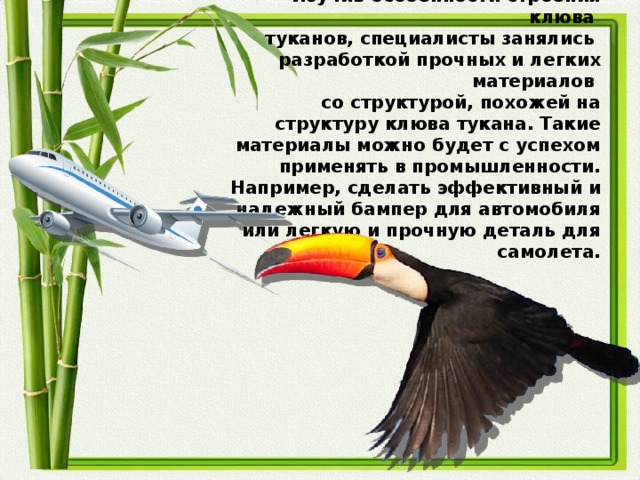 Изучив особенности строения клюва туканов, специалисты занялись разработкой прочных и легких материалов со структурой, похожей на структуру клюва тукана. Такие материалы можно будет с успехом применять в промышленности. Например, сделать эффективный и надежный бампер для автомобиля или легкую и прочную деталь для самолета.
