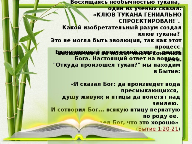 Восхищаясь необычностью тукана, один из ученых сказал:  «КЛЮВ ТУКАНА ГЕНИАЛЬНО СПРОЕКТИРОВАН!