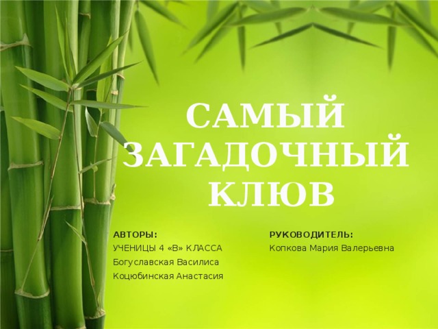 САМЫЙ ЗАГАДОЧНЫЙ КЛЮВ АВТОРЫ: РУКОВОДИТЕЛЬ: УЧЕНИЦЫ 4 «В» КЛАССА Богуславская Василиса Копкова Мария Валерьевна Коцюбинская Анастасия