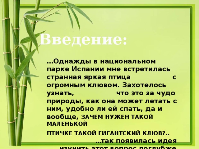Введение: … Однажды в национальном парке Испании мне встретилась странная яркая птица с огромным клювом. Захотелось узнать, что это за чудо природы, как она может летать с ним, удобно ли ей спать, да и вообще, ЗАЧЕМ НУЖЕН ТАКОЙ МАЛЕНЬКОЙ  ПТИЧКЕ ТАКОЙ ГИГАНТСКИЙ КЛЮВ?.. … так появилась идея изучить этот вопрос поглубже.