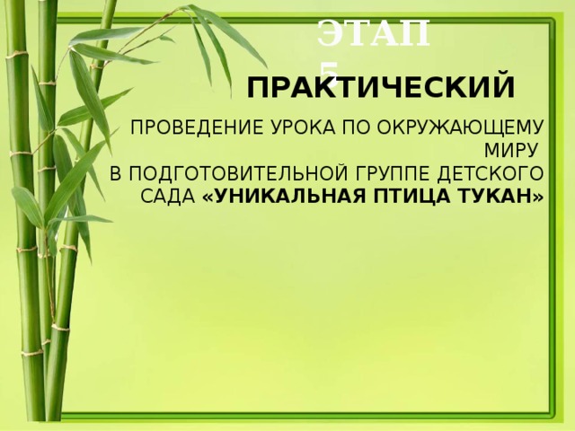 ЭТАП 5  ПРАКТИЧЕСКИЙ  ПРОВЕДЕНИЕ УРОКА ПО ОКРУЖАЮЩЕМУ МИРУ В ПОДГОТОВИТЕЛЬНОЙ ГРУППЕ ДЕТСКОГО САДА «УНИКАЛЬНАЯ ПТИЦА ТУКАН»