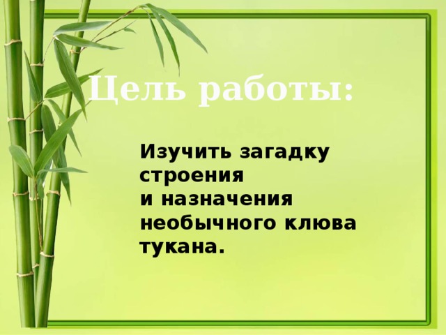 Цель работы: Изучить загадку строения и назначения необычного клюва тукана.