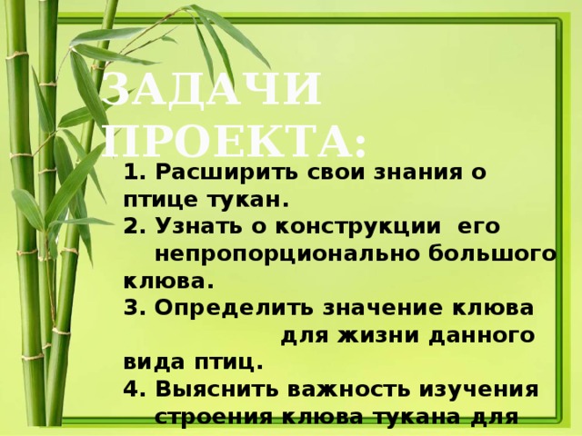 ЗАДАЧИ ПРОЕКТА: 1. Расширить свои знания о птице тукан. 2. Узнать о конструкции его  непропорционально большого клюва. 3. Определить значение клюва  для жизни данного вида птиц. 4. Выяснить важность изучения  строения клюва тукана для человека. 5. Поделиться полученной информацией  с другими.