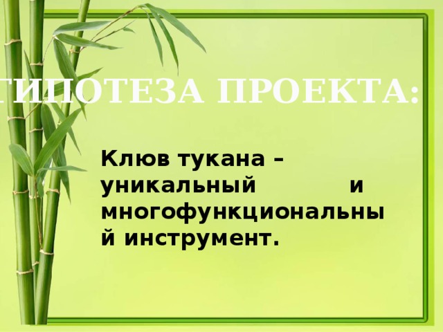 ГИПОТЕЗА ПРОЕКТА: Клюв тукана – уникальный и многофункциональный инструмент.