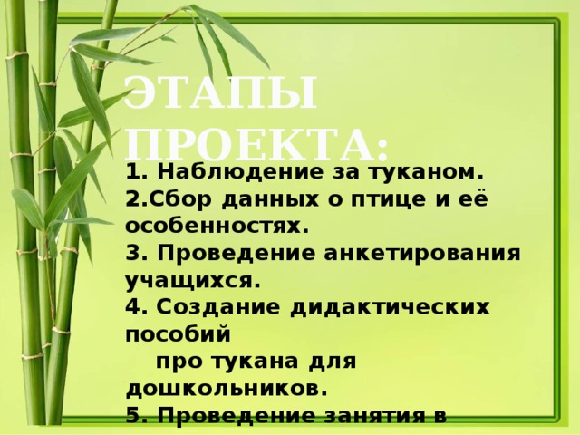 ЭТАПЫ ПРОЕКТА: 1. Наблюдение за туканом. 2.Сбор данных о птице и её особенностях. 3. Проведение анкетирования учащихся. 4. Создание дидактических пособий  про тукана для дошкольников. 5. Проведение занятия в детском саду  по ознакомлению с туканом.