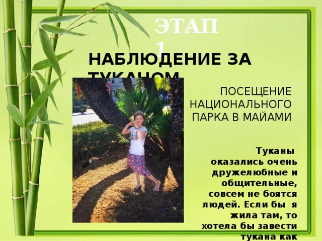 ЭТАП 1 НАБЛЮДЕНИЕ ЗА ТУКАНОМ      ПОСЕЩЕНИЕ НАЦИОНАЛЬНОГО ПАРКА В МАЙАМИ Туканы оказались очень дружелюбные и общительные, совсем не боятся людей. Если бы я жила там, то хотела бы завести тукана как домашнее животное!