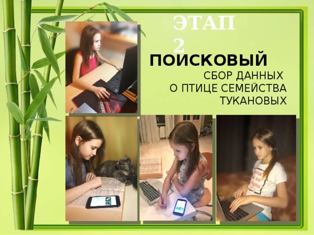 ЭТАП 2 ПОИСКОВЫЙ СБОР ДАННЫХ О ПТИЦЕ СЕМЕЙСТВА ТУКАНОВЫХ