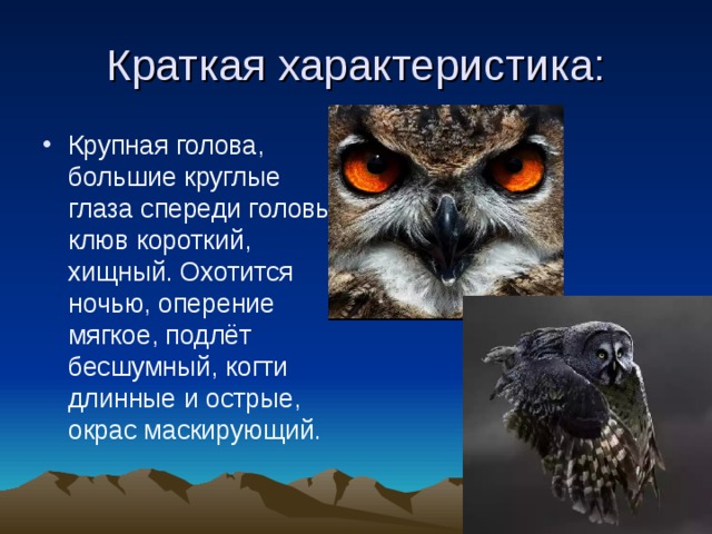 Краткая характеристика: Крупная голова, большие круглые глаза спереди головы, клюв короткий, хищный. Охотится ночью, оперение мягкое, подлёт бесшумный, когти длинные и острые, окрас маскирующий. 