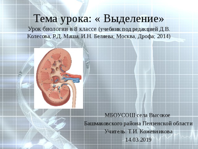 Тема урока: « Выделение»  Урок биологии в 8 классе (учебник под редакцией Д.В. Колесова, Р.Д. Маша, И.Н. Беляева; Москва, Дрофа; 2014)   МБОУСОШ села Высокое Башмаковского района Пензенской области Учитель: Т.И. Кожевникова 14.03.2019 