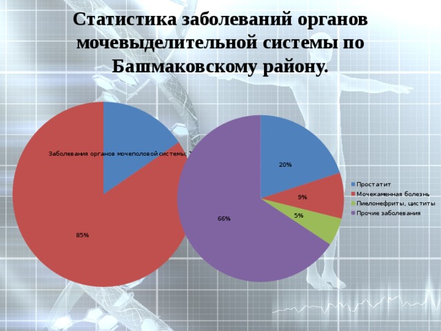Статистика заболеваний органов мочевыделительной системы по Башмаковскому району. 