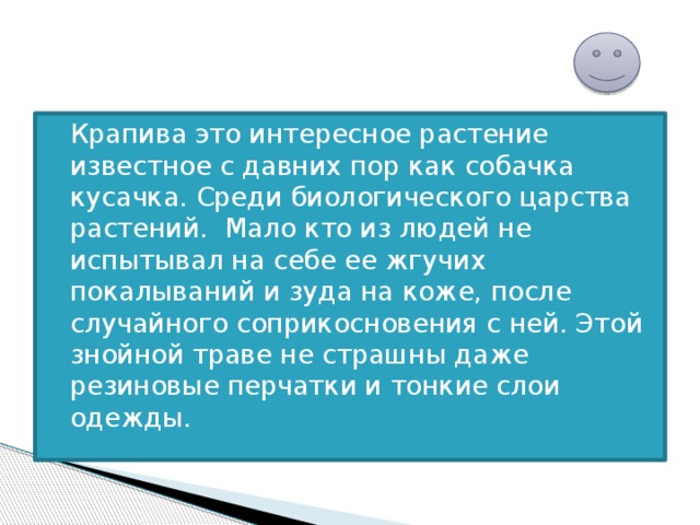 Крапива это интересное растение известное с давних пор как собачка кусачка. Среди биологического царства растений. Мало кто из людей не испытывал на себе ее жгучих покалываний и зуда на коже, после случайного соприкосновения с ней. Этой знойной траве не страшны даже резиновые перчатки и тонкие слои одежды. 