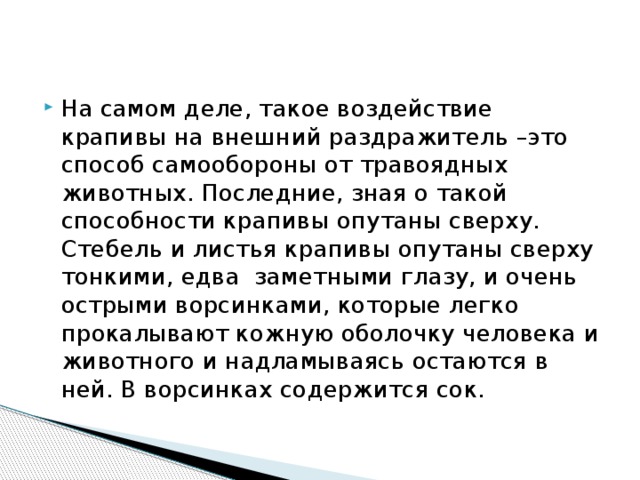 На самом деле, такое воздействие крапивы на внешний раздражитель –это способ самообороны от травоядных животных. Последние, зная о такой способности крапивы опутаны сверху. Стебель и листья крапивы опутаны сверху тонкими, едва заметными глазу, и очень острыми ворсинками, которые легко прокалывают кожную оболочку человека и животного и надламываясь остаются в ней. В ворсинках содержится сок. 