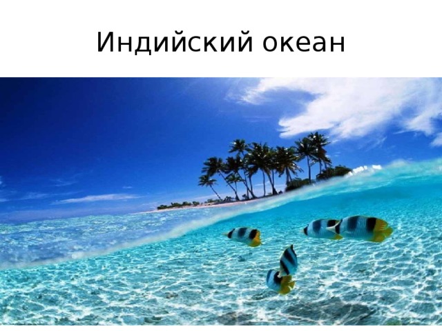 Индийский океан 