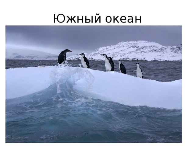 Южный океан 