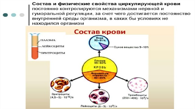 Кровь состав свойства и функции презентация