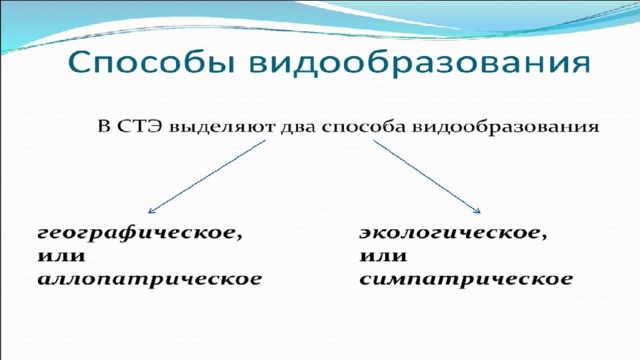 Презентация биологический прогресс и регресс 11 класс