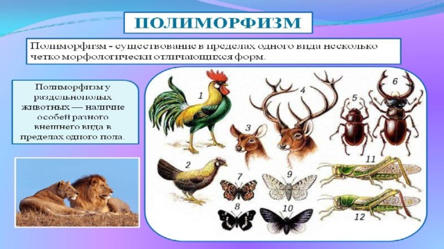 Биологический прогресс насекомых. Причины вымирания видов 11 класс биология. Биологический регресс презентация.