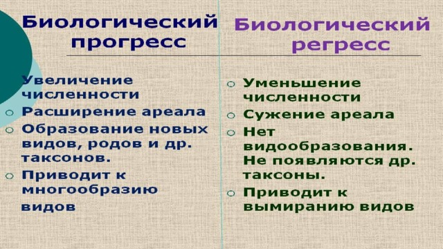 Схема биологического прогресса и регресса