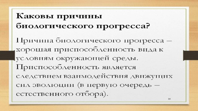 Презентация биологический прогресс и регресс 11 класс