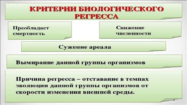 Презентация биологический прогресс и регресс 11 класс