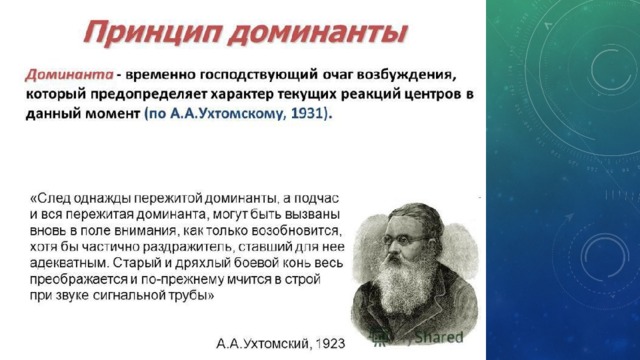 Презентация о доминанте