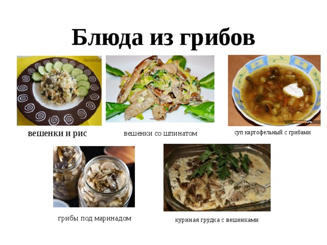 Блюда из грибов  вешенки и рис  вешенки со шпинатом  суп картофельный с грибами  грибы под маринадом  куриная грудка с вешенками 